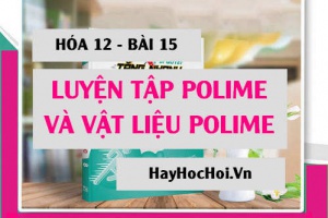 Bài tập luyện tập về Polime và vật liệu Polime - Hóa 12 bài 15